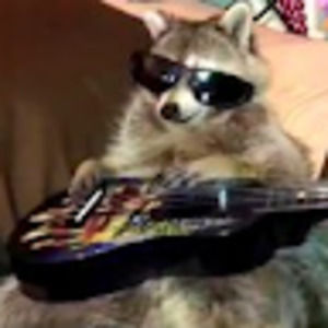 Meet your Posher, Landon